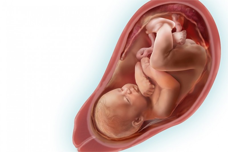 Blog Materno | 33 Semanas De Gestação Post