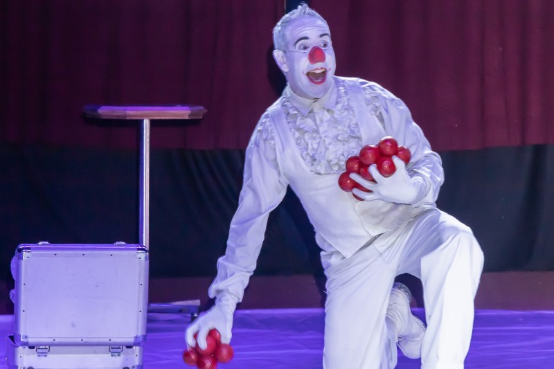 Circo de Natal Estréia dia 26 na Praça Arautos da Paz em Campinas.