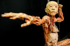 Iguatemi Campinas | Exposição Maravilhas Do Corpo Humano